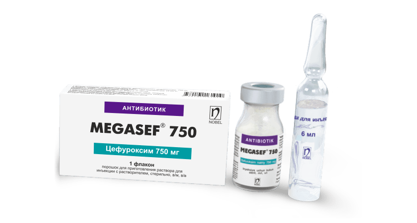 Megasef® 750mg 1 Flakon Inyeksion Eritma Tayyorlash Uchun Kukun Erituvchisi Bilan M/I, V/I